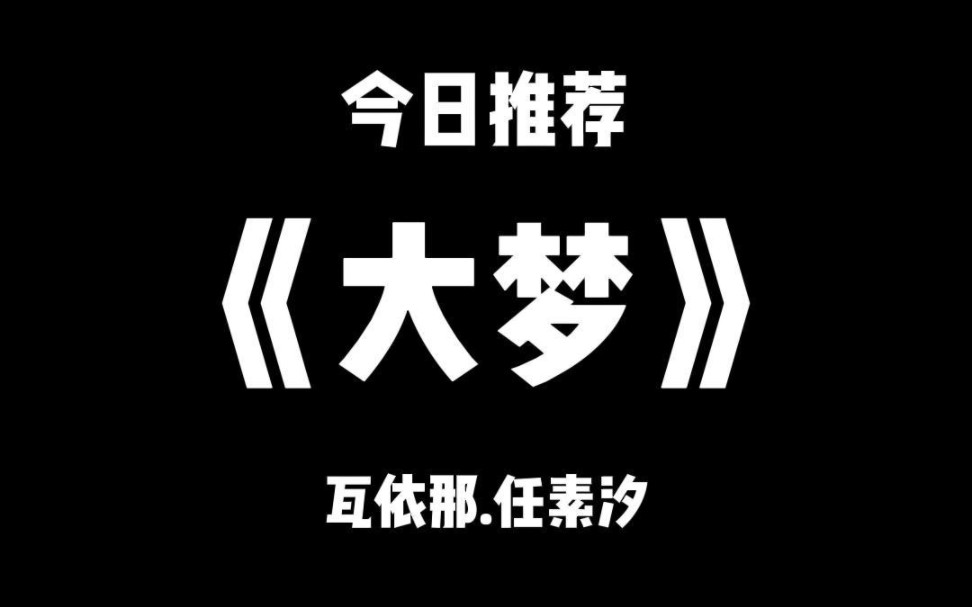 瓦依那.任素汐《大梦》