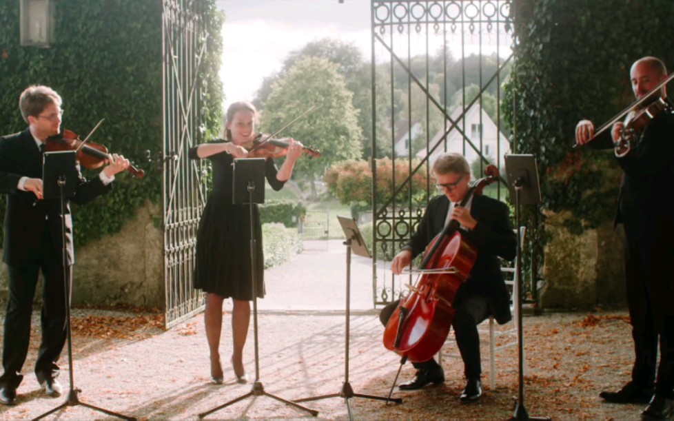 [图]婚礼弦乐四重奏 & 莫扎特 G大调小夜曲 Musik string quartet - wedding at Schloss Waldegg / Mozart