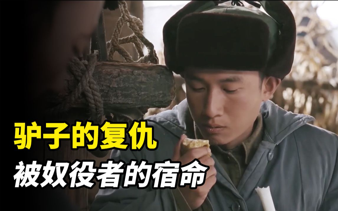 70年代驴当土皇帝啥活不干吃得比人好搞笑国产电影