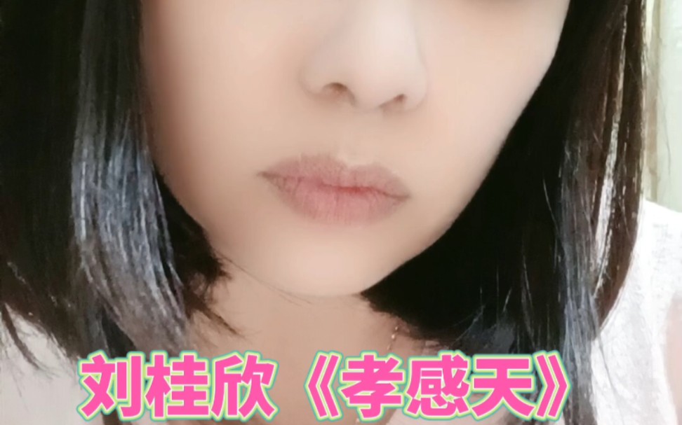 刘桂欣《孝感天》哔哩哔哩bilibili