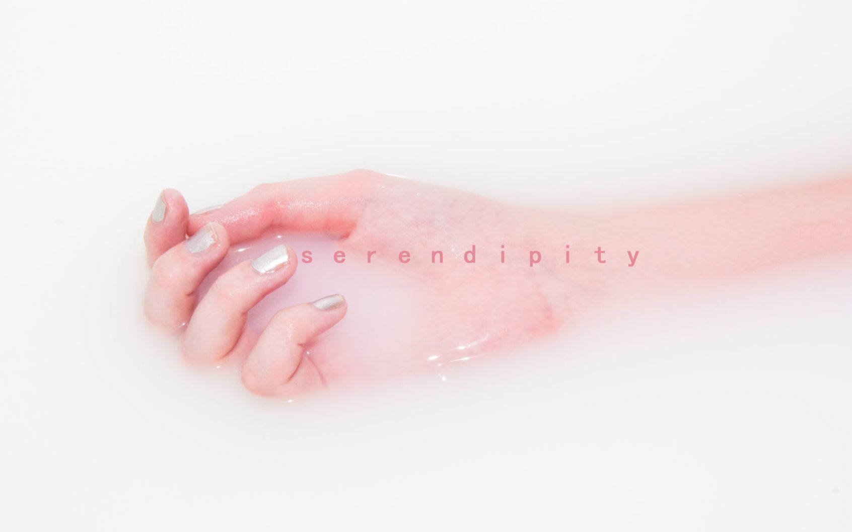 serendipity*(自留地)哔哩哔哩bilibili