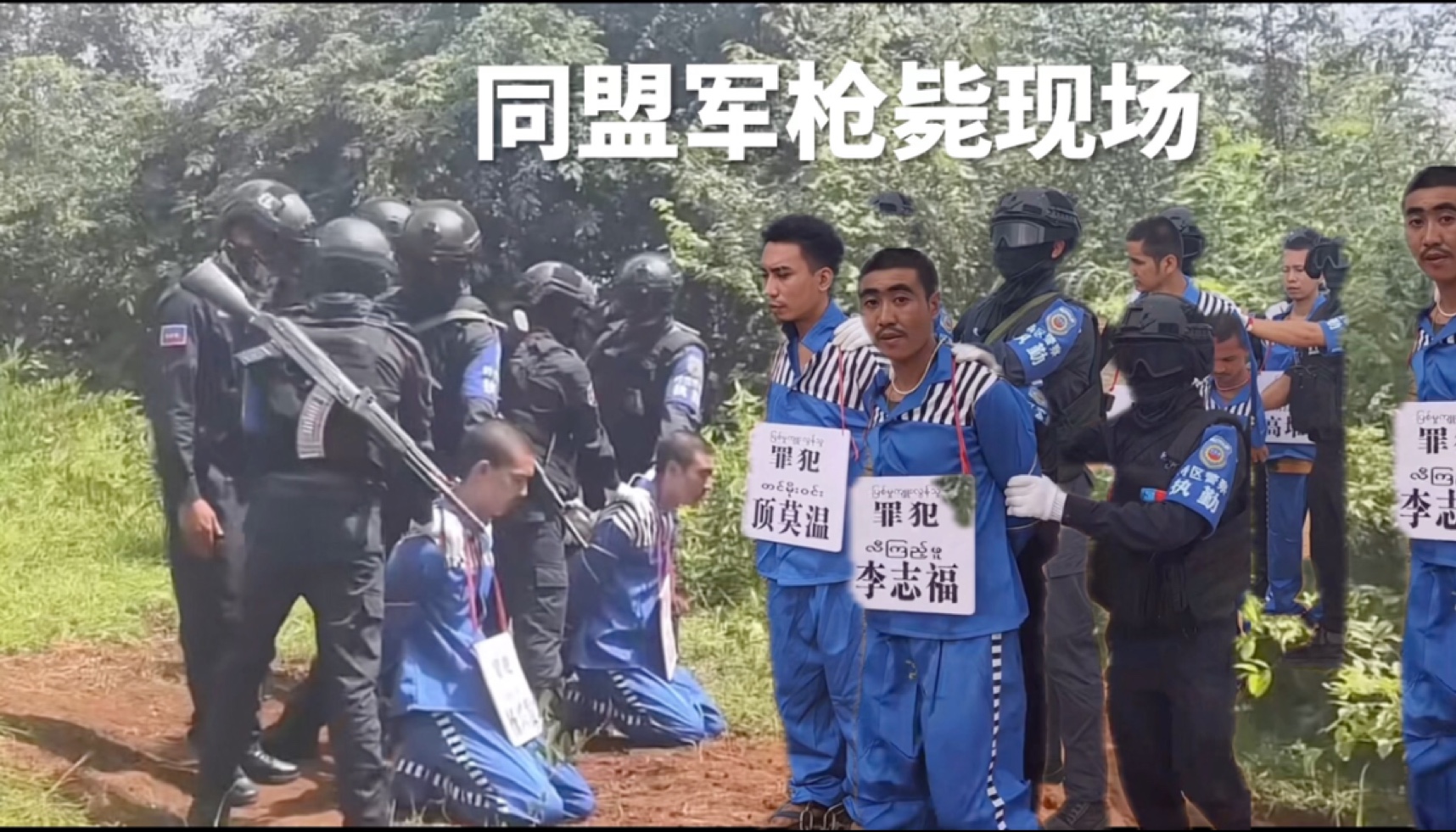 胆小慎入,同盟军枪毙现场