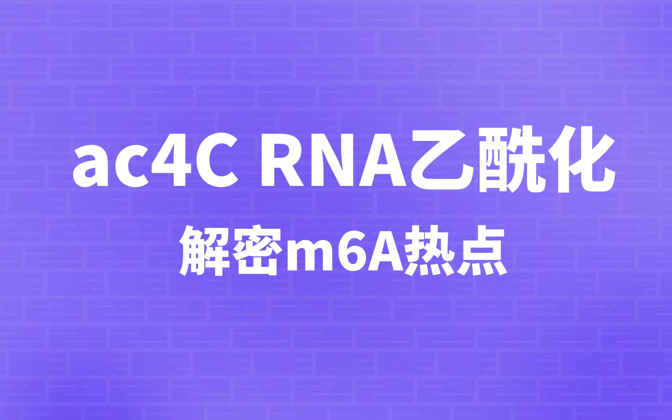 [图]ac4C RNA乙酰化——解密m6A热点之后RNA修饰的新方向