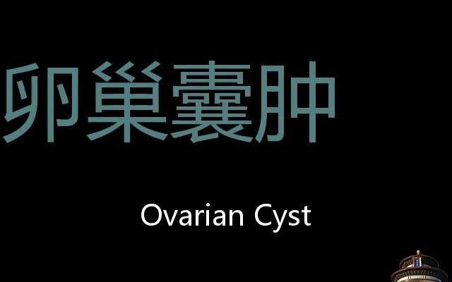 卵巢囊肿 Chinese Pronunciation Ovarian cyst哔哩哔哩bilibili