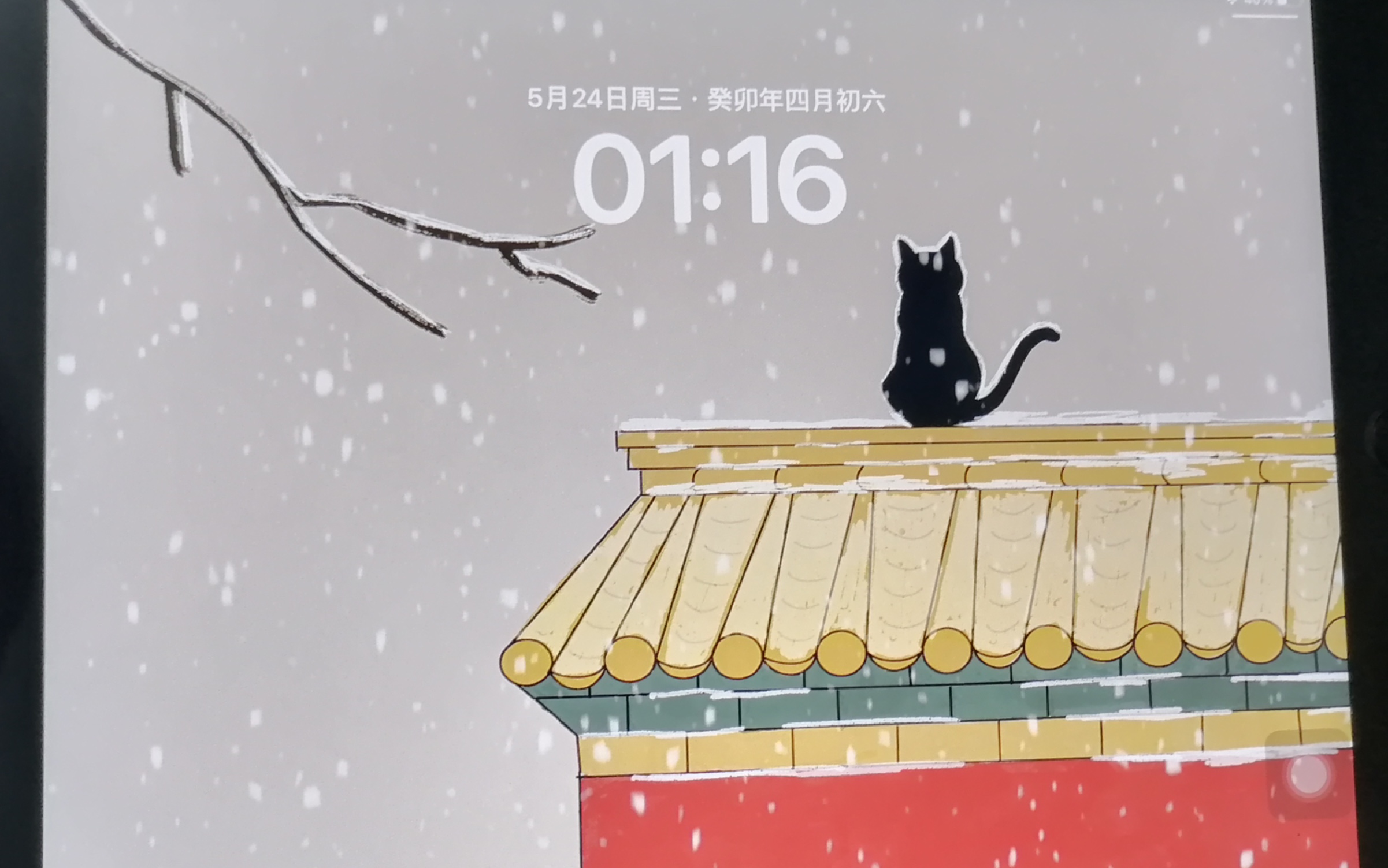 [图]【procreate绘画】故宫的猫/治愈/安静/听雪落下的声音/iPad壁纸