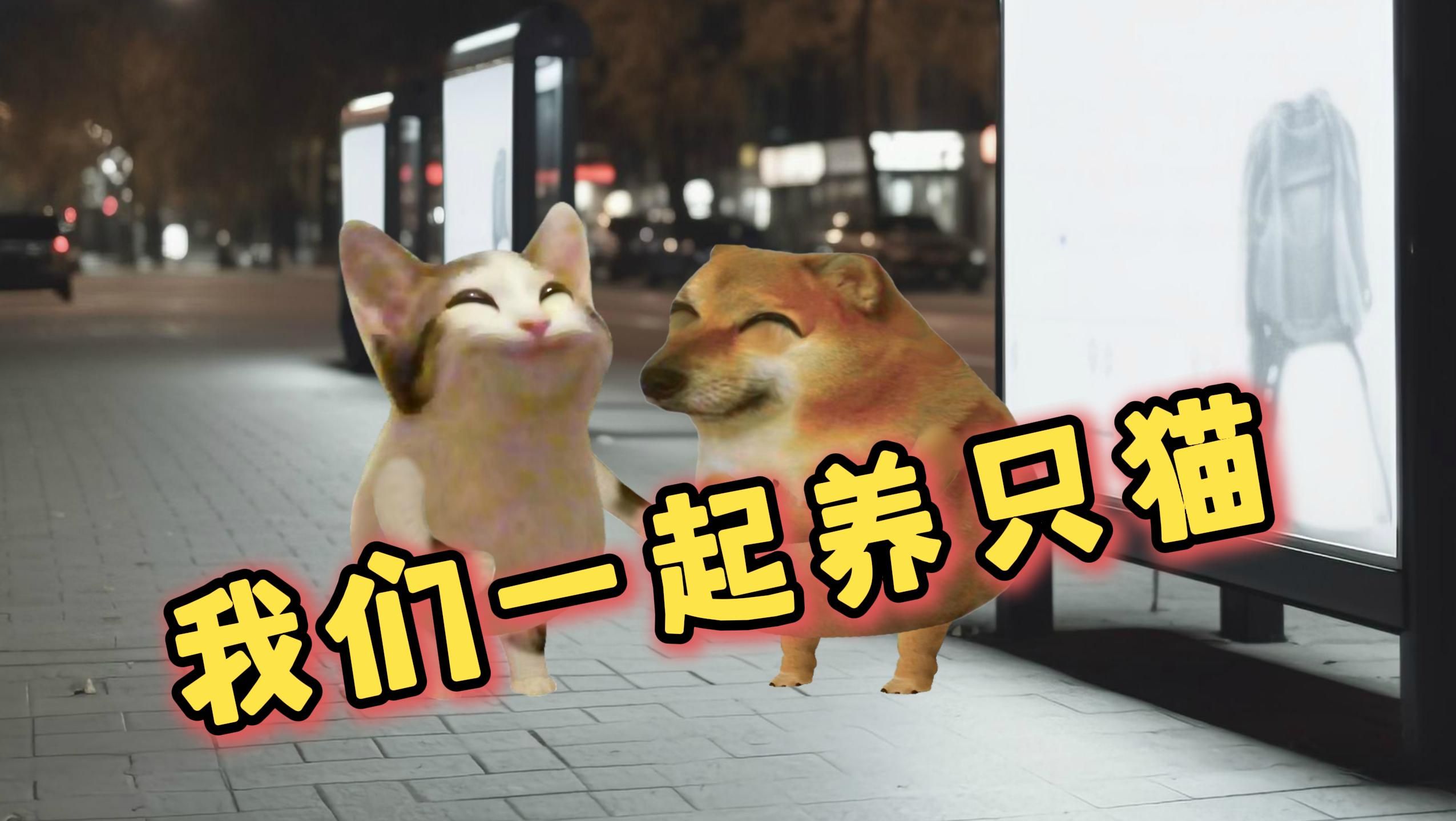 我家有猫,你家也有猫,不如我们一起养只猫哔哩哔哩bilibili