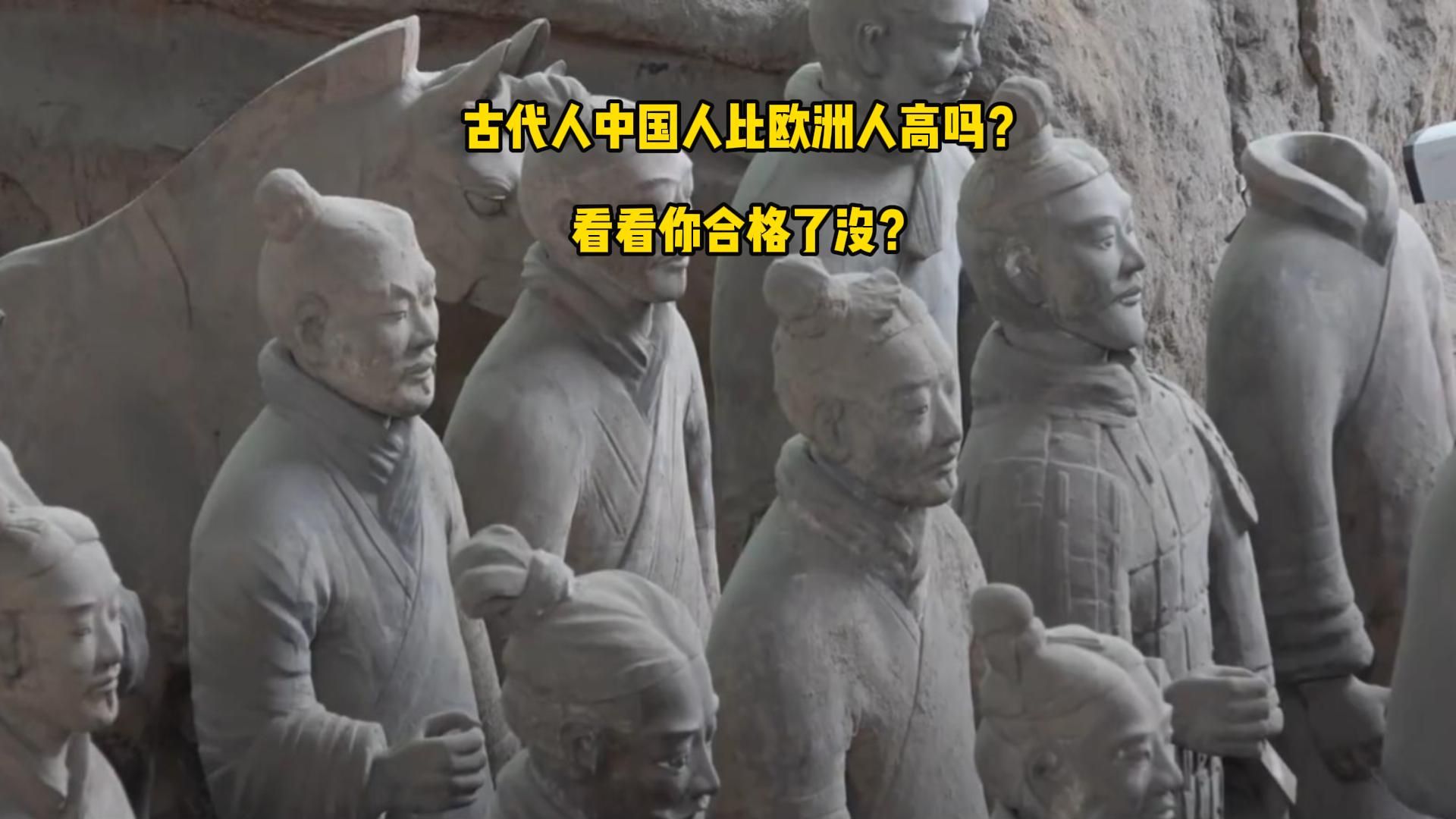 古代欧洲人身高图片