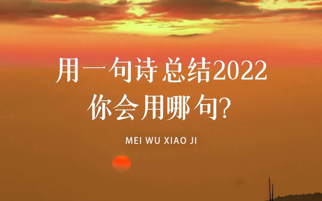 年年岁岁花相似,岁岁年年人不同.如果用一句诗来形容2022这一年的生活,你会想到哪句?哔哩哔哩bilibili