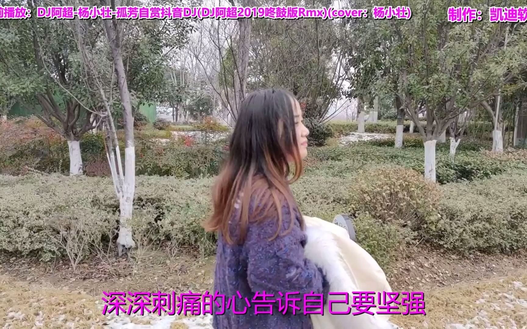 [图]《DJ阿超-杨小壮-孤芳自赏抖音DJ(DJ阿超2019咚鼓版Rmx)(cover：杨小壮)》欣赏，婚纱照mv视频软件