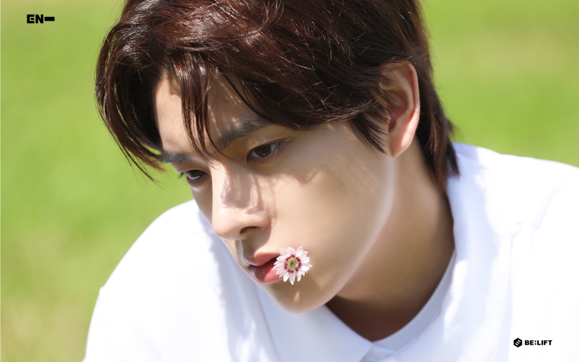 enhypenjake沈载伦真的很喜欢清纯狗狗