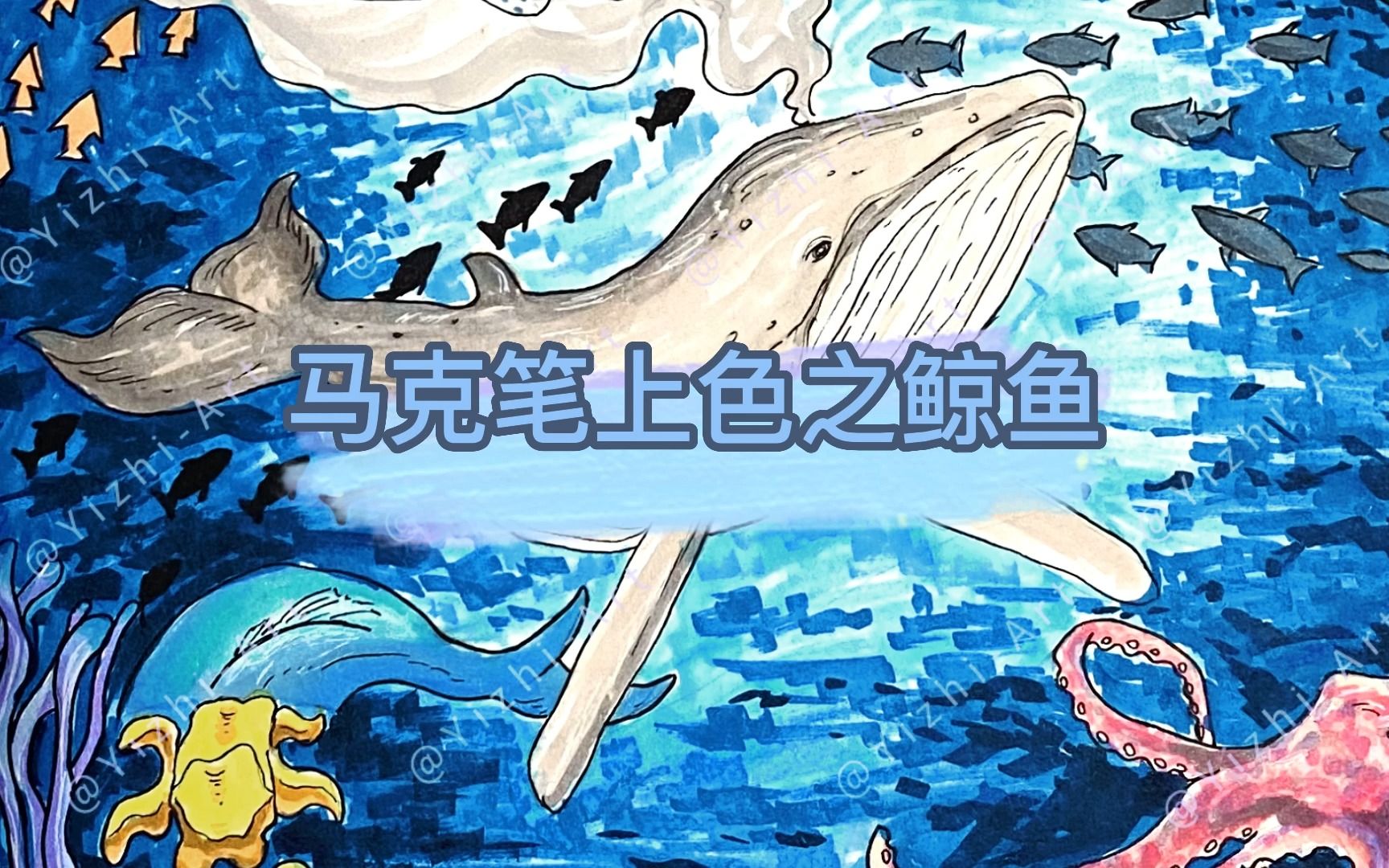 马克笔上色之鲸鱼