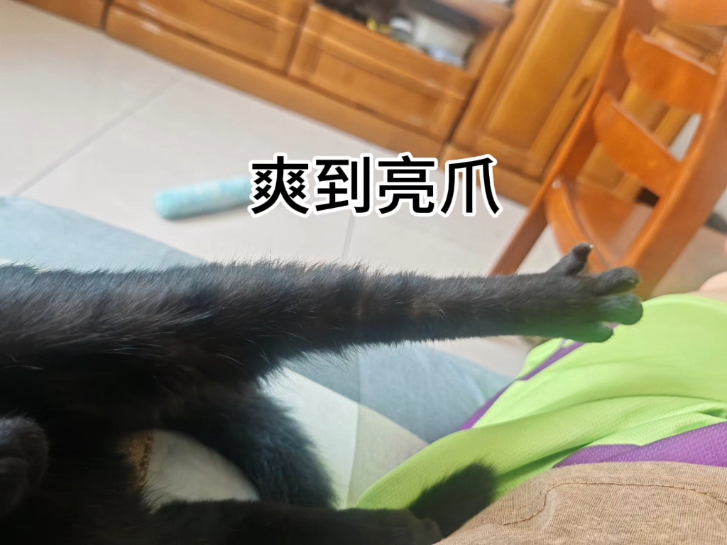 捂裆派仙人睡觉