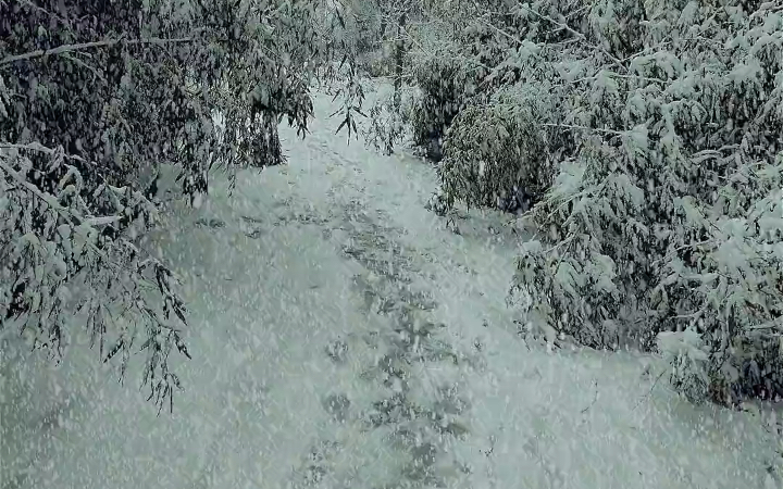 [图]别回头了,迎风冒雪也要向前走,不爱了就是不爱了,别..