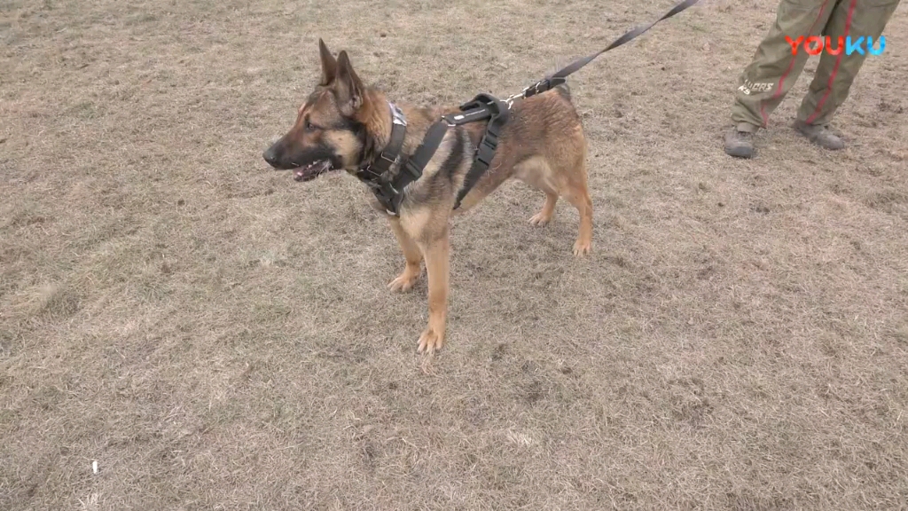 卢9_哔哩哔哩_bilibili