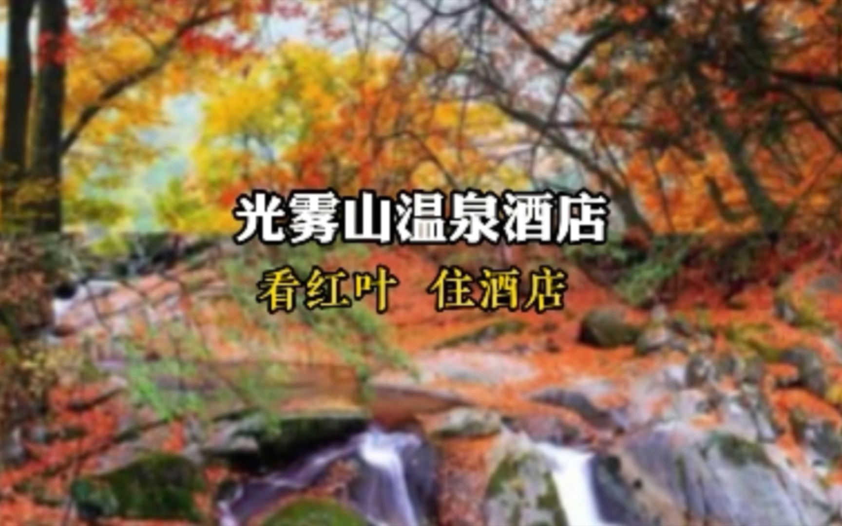 光雾山红叶,光雾山温泉旅游酒店,光雾山看红叶泡温泉,#成都周边游 #四川红叶 #光雾山 #温泉 #旅行推荐官哔哩哔哩bilibili