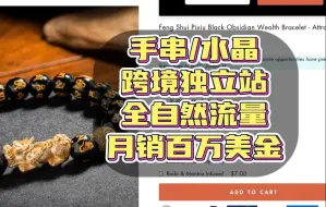 下载视频: 手串跨境独立站，月销百万美金，利润率超80%