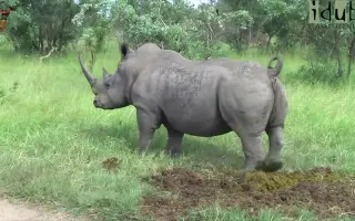 倒放视频 搜索结果 哔哩哔哩 Bilibili