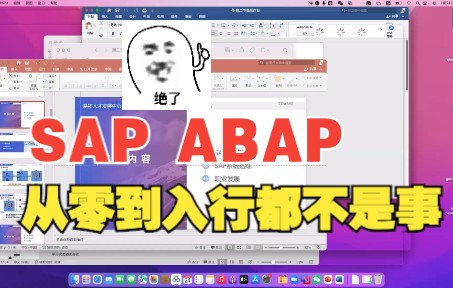 SAP ABAP 从0基础入门到精通怎么学,怎么入SAP这行哔哩哔哩bilibili