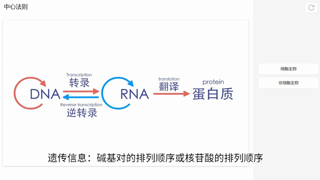 【生物】中心法则哔哩哔哩bilibili