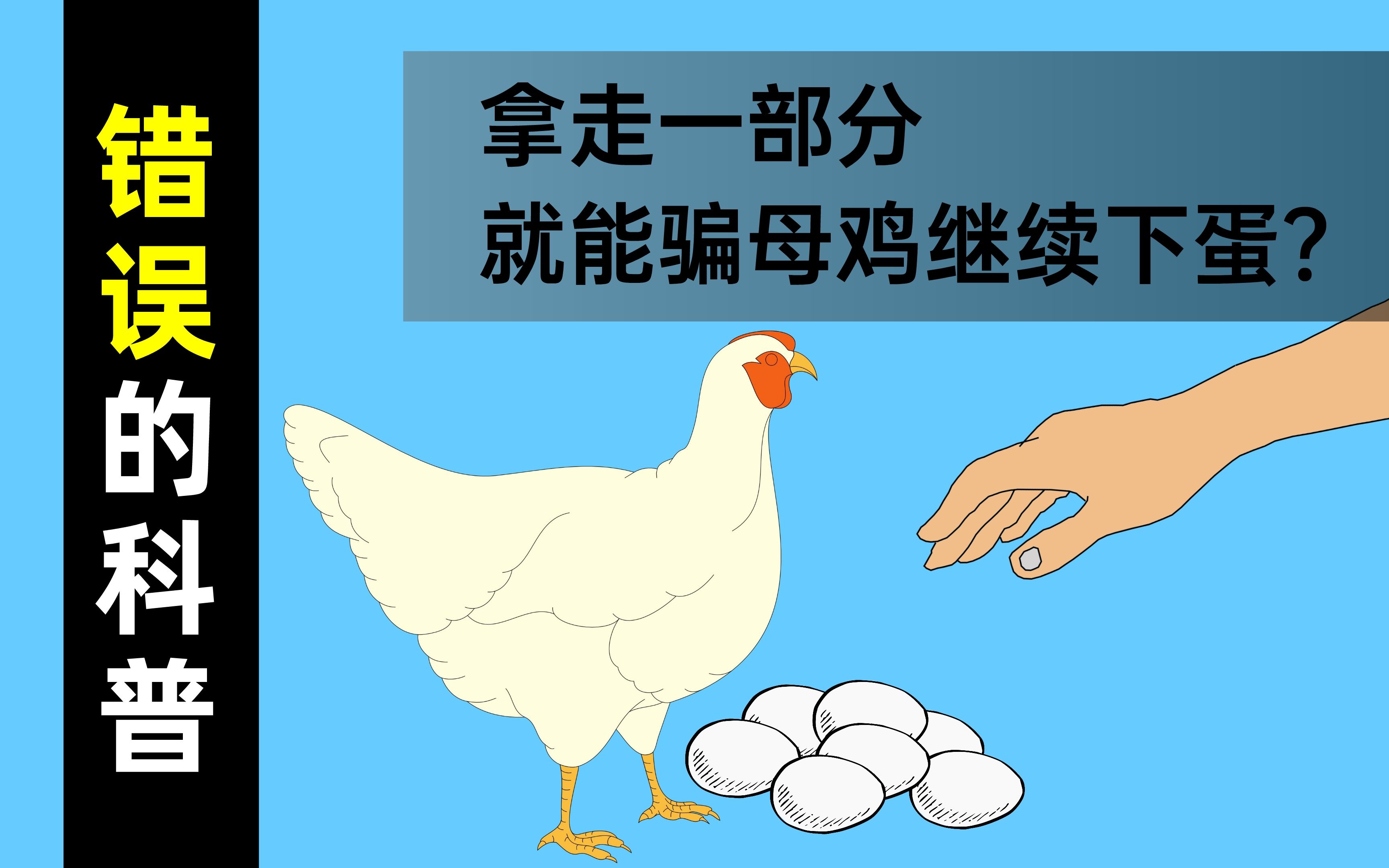 鸡蛋是怎样制造出来的?母鸡抱窝不下蛋怎么办?哔哩哔哩bilibili