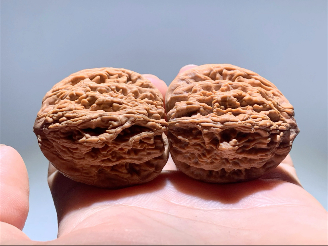 福利拍卖堂上虎头