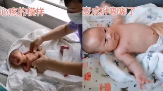 Download Video: 儿子早产3斤多，瘦成皮包骨父母不敢碰，月嫂照顾15天后脱胎换骨