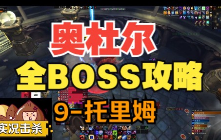 一看就懂的奥杜尔全BOSS攻略9托里姆【WLK】魔兽世界