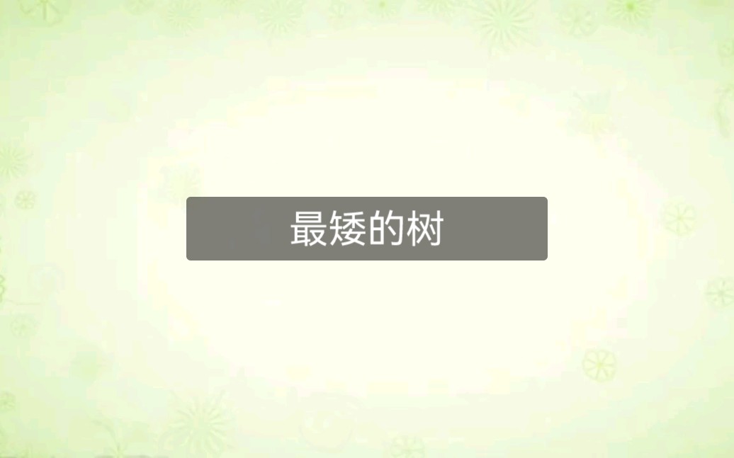 植物科普—最矮的树哔哩哔哩bilibili