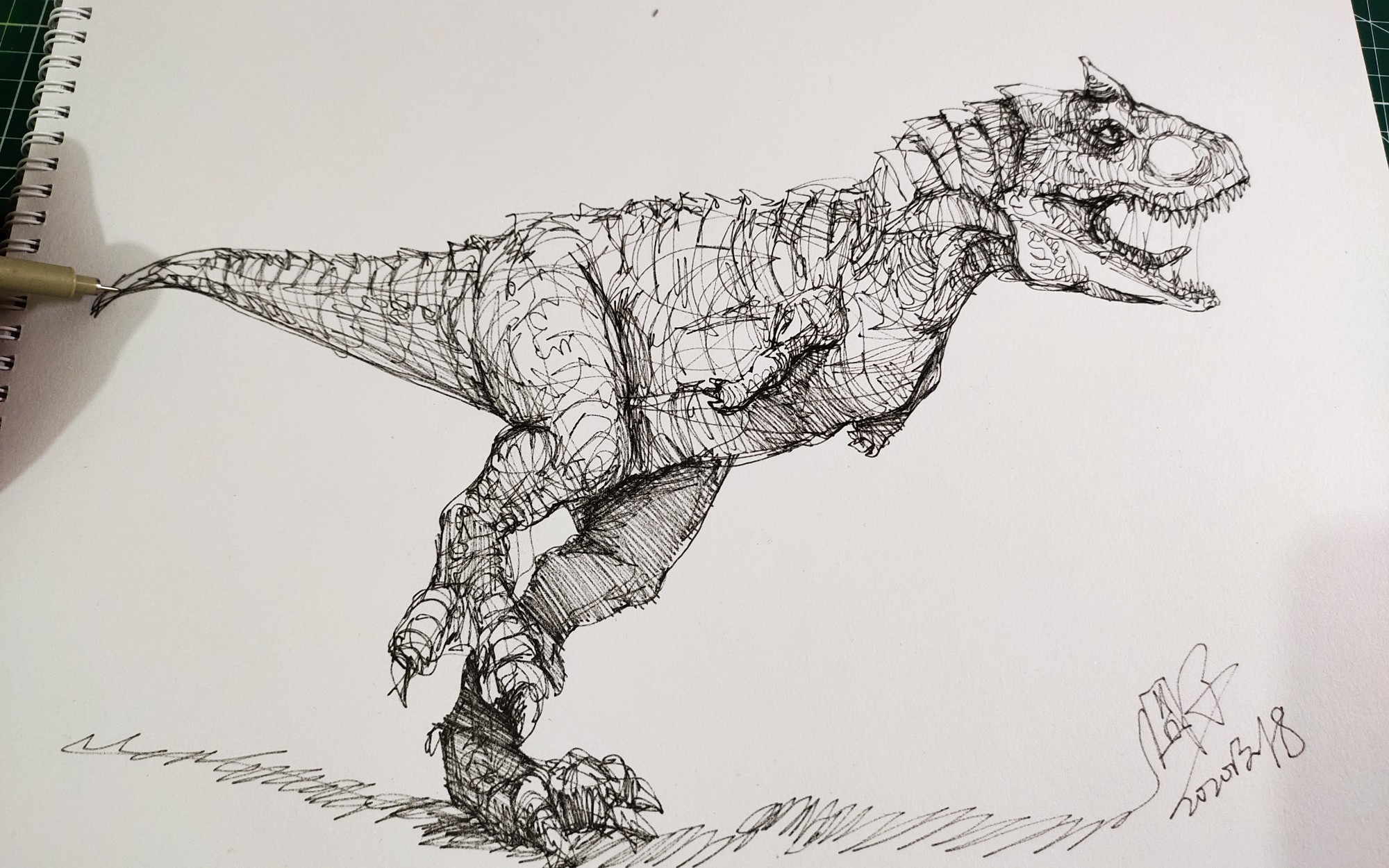 食肉恐龙画画图片