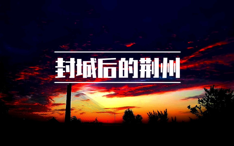 【封城后的荆州】人也快疯鸟