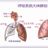 ［临床经验］肺部CT解读——胸部CT/呼吸系统/影像学基础/医学研究生的自我修养