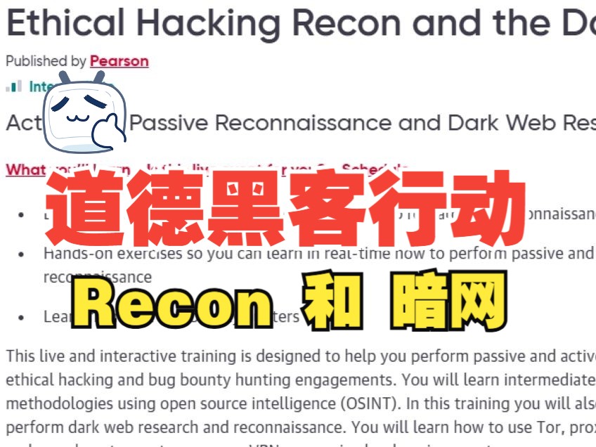 [中文字幕]道德黑客行动 Recon 和 暗网哔哩哔哩bilibili