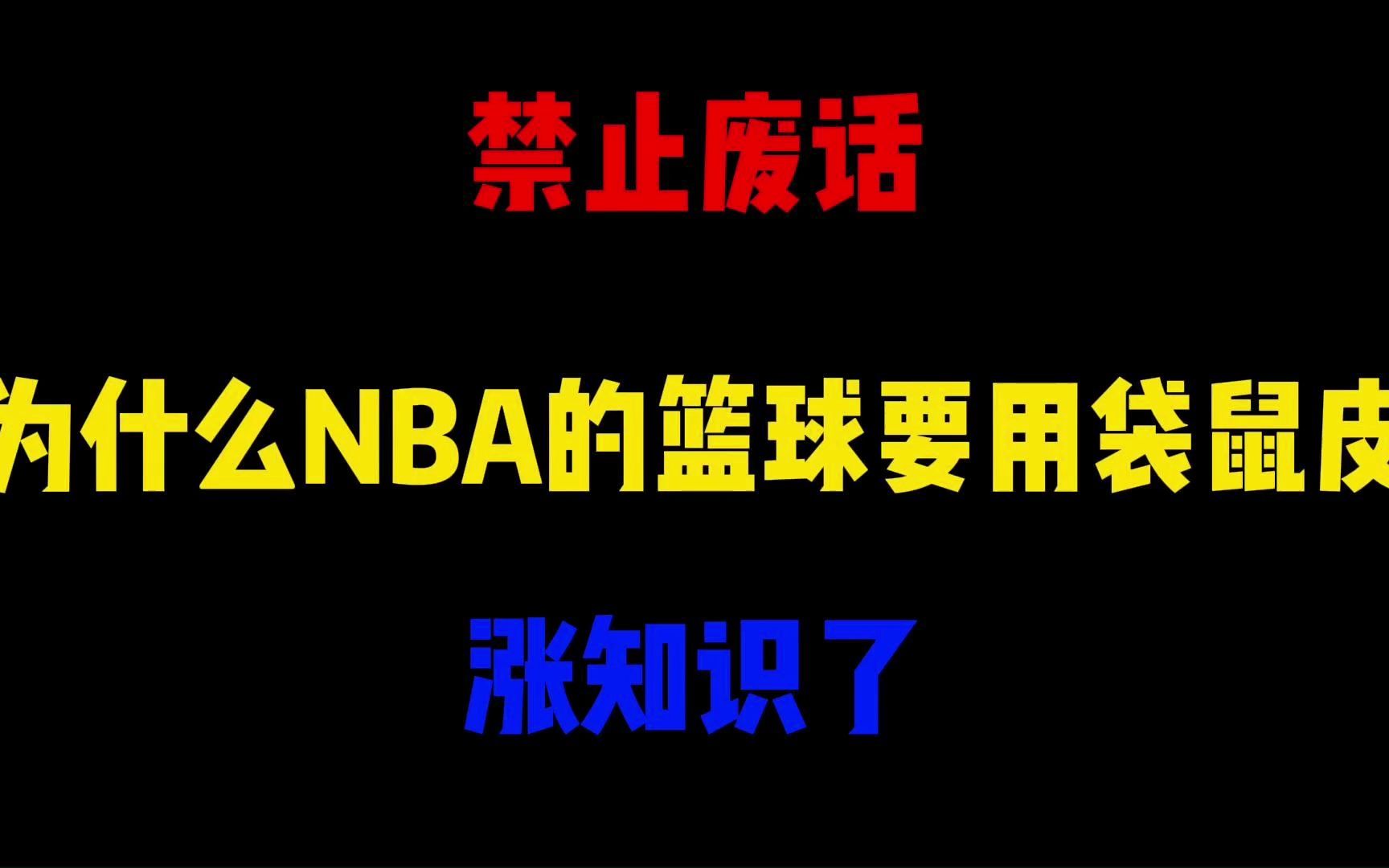 禁止废话:为什么NBA的篮球要用袋鼠皮做?涨知识了哔哩哔哩bilibili