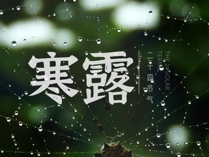 寒露 | 袅袅凉风动,凄凄寒露零.哔哩哔哩bilibili