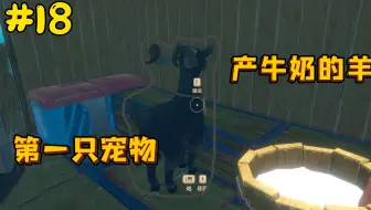 木筏求生18：抓住黑色羊咩咩带回家