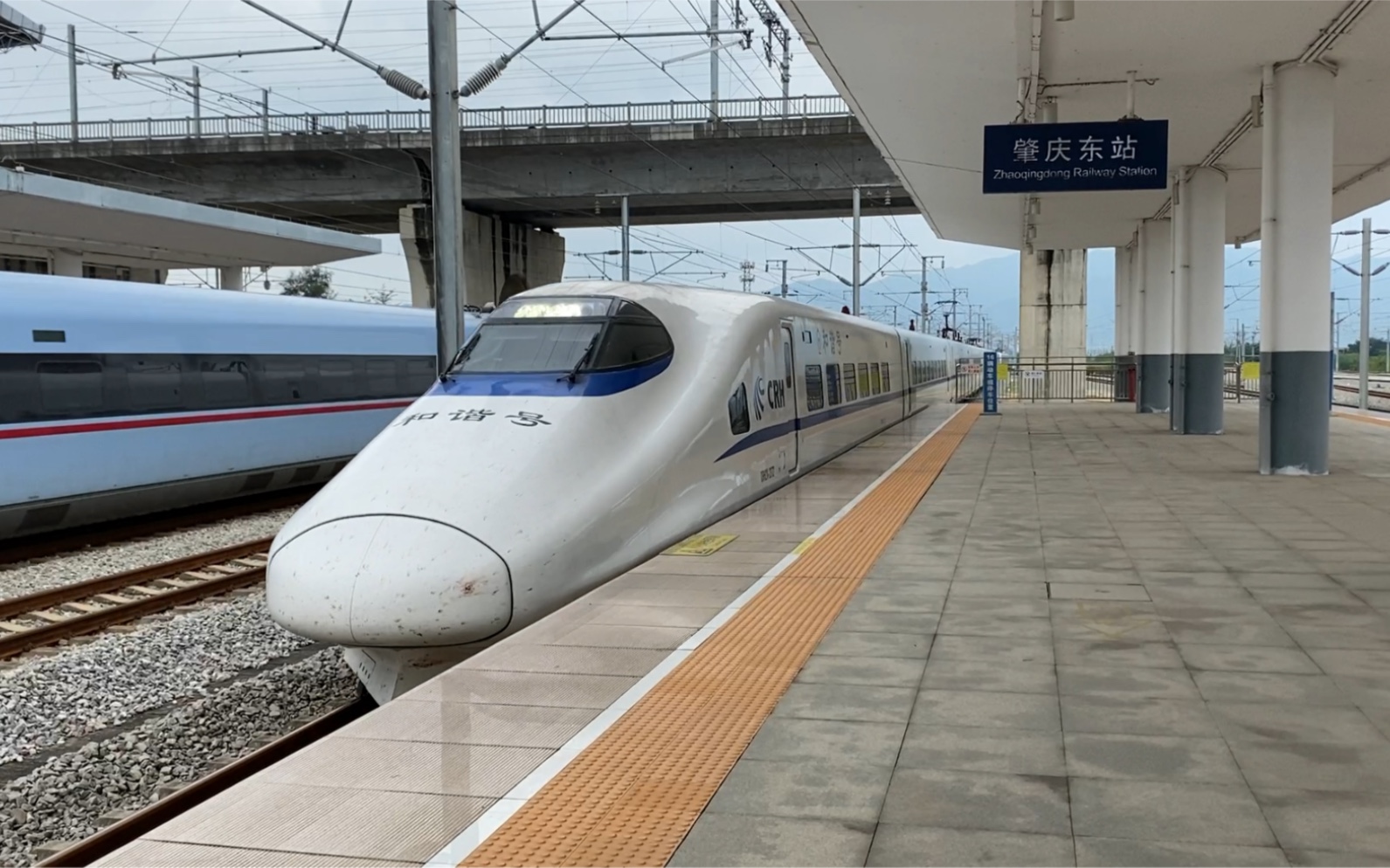 d3705次列车到达肇庆东站