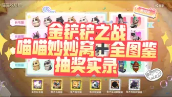 Download Video: 【金铲铲之战 】 喵喵秒秒窝 ➕ 全图鉴 抽奖实录！