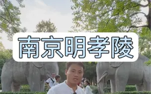 Download Video: 拒绝废话10分钟细讲南京明孝陵，他的陵到底有没有被盗过#明孝陵 #南京旅游