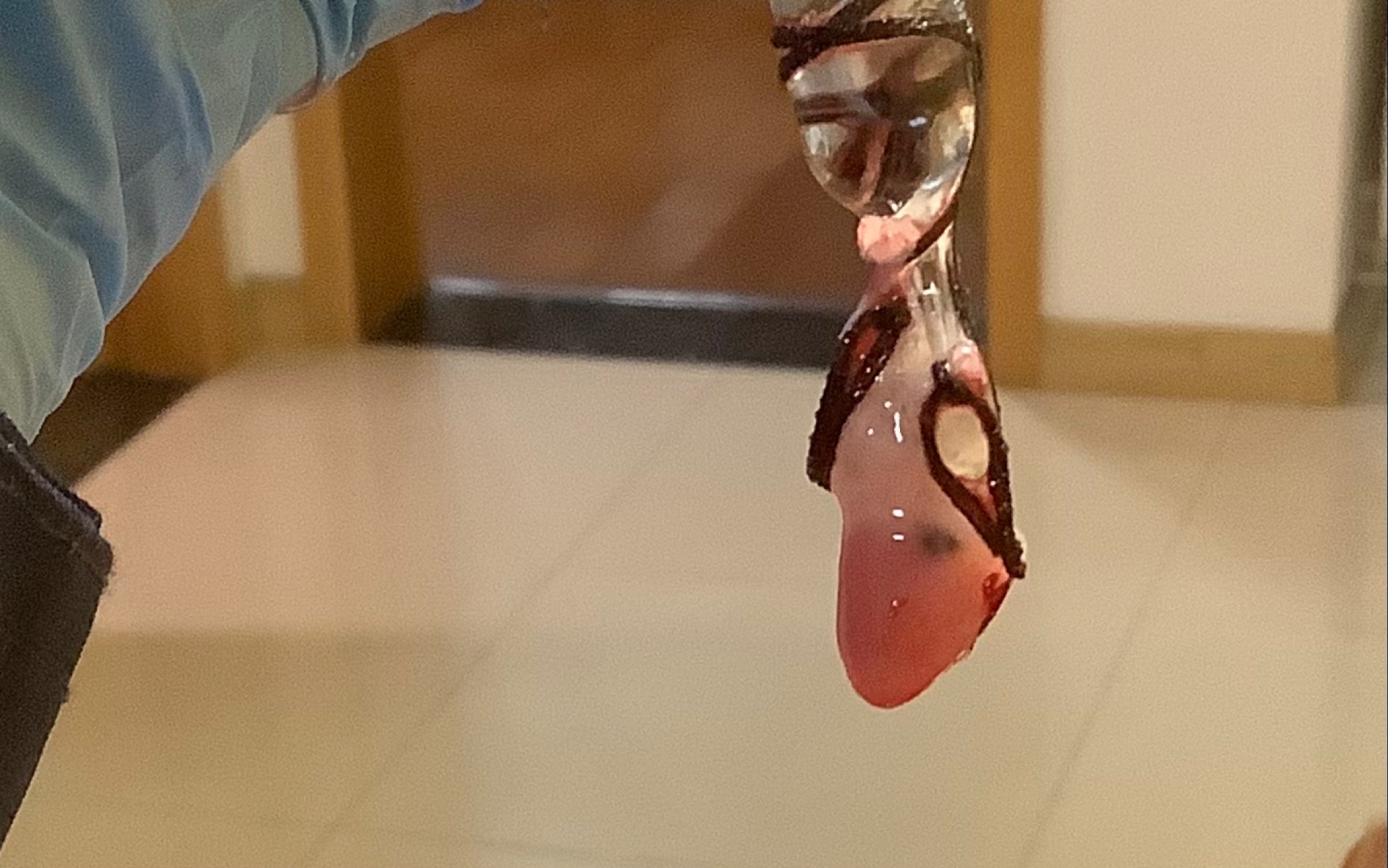 第一次做离体蛙心灌流!