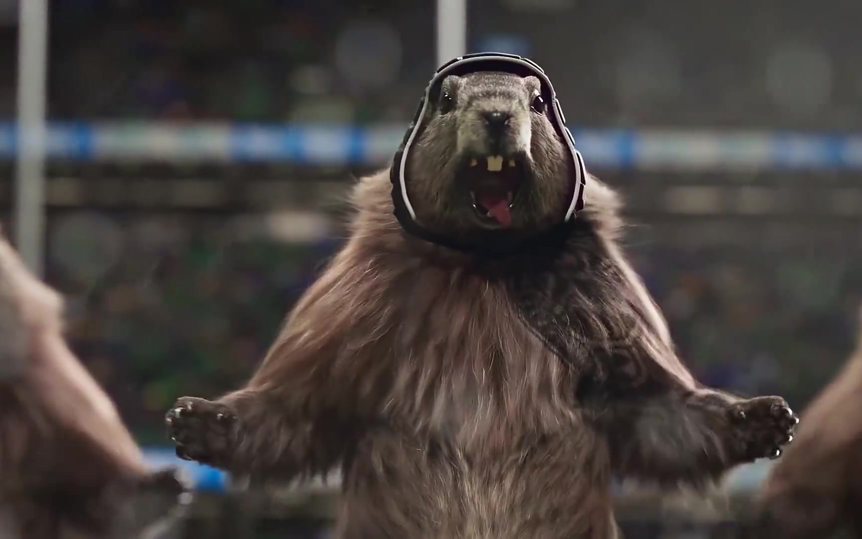 法国电视台的土拨鼠运动会广告内马尔跟着躺枪