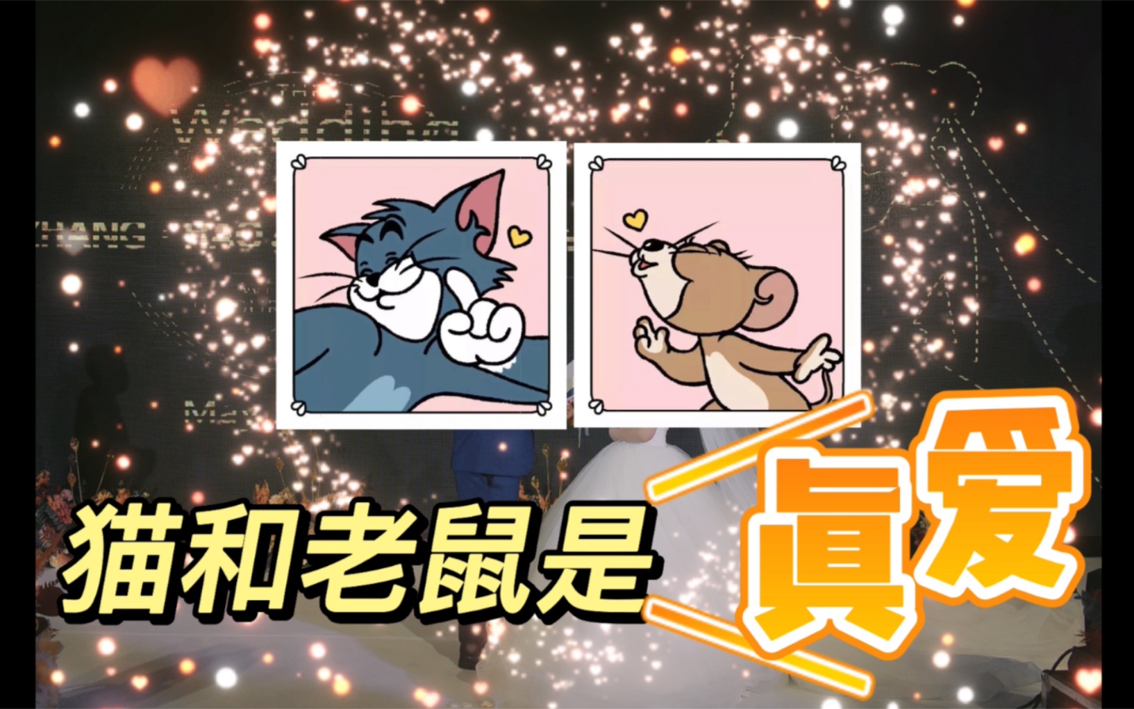 婚礼用「猫和老鼠」暖场是什么体验?哔哩哔哩bilibili