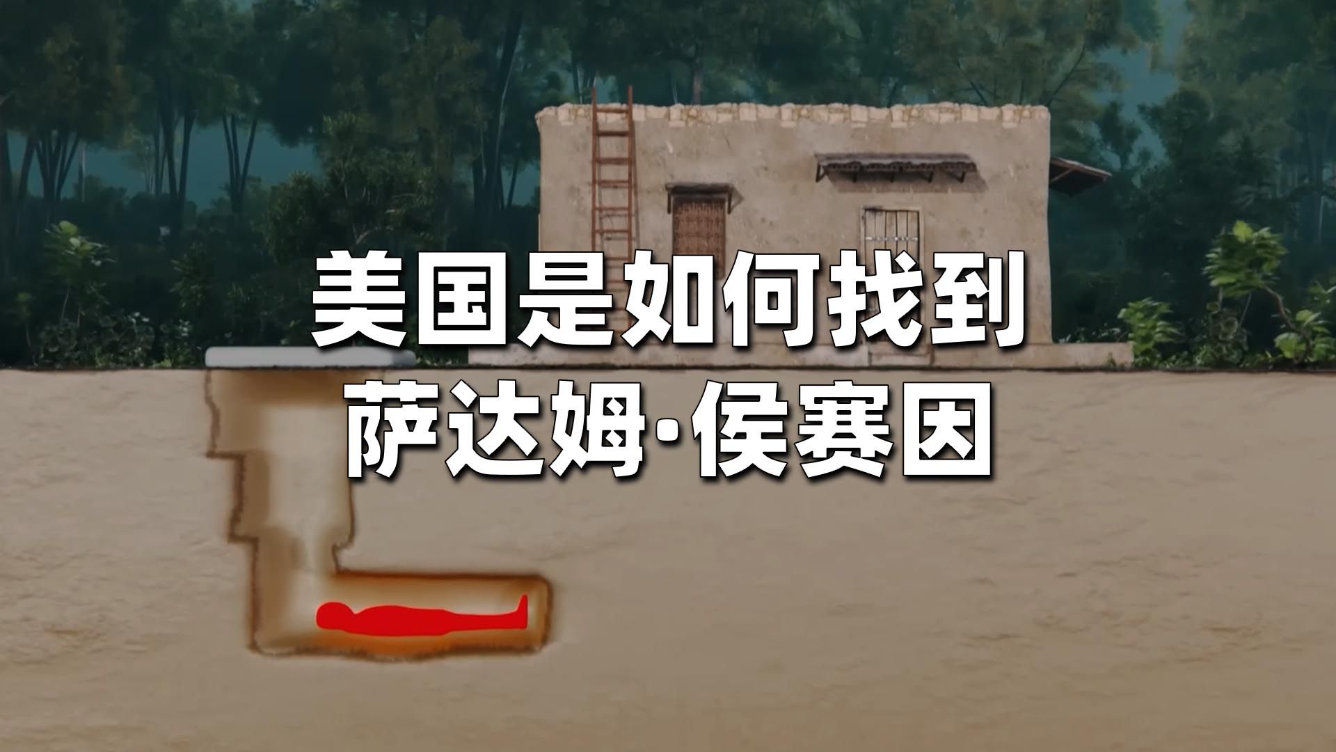 美国是如何找到萨达姆·侯赛因的海报