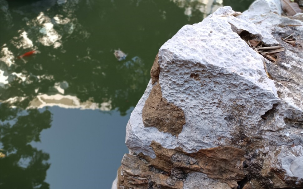 日光下澈,影布石上