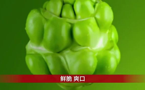 乌江榨菜广告 乌江鲜脆菜丝 重庆特产涪陵榨菜哔哩哔哩bilibili