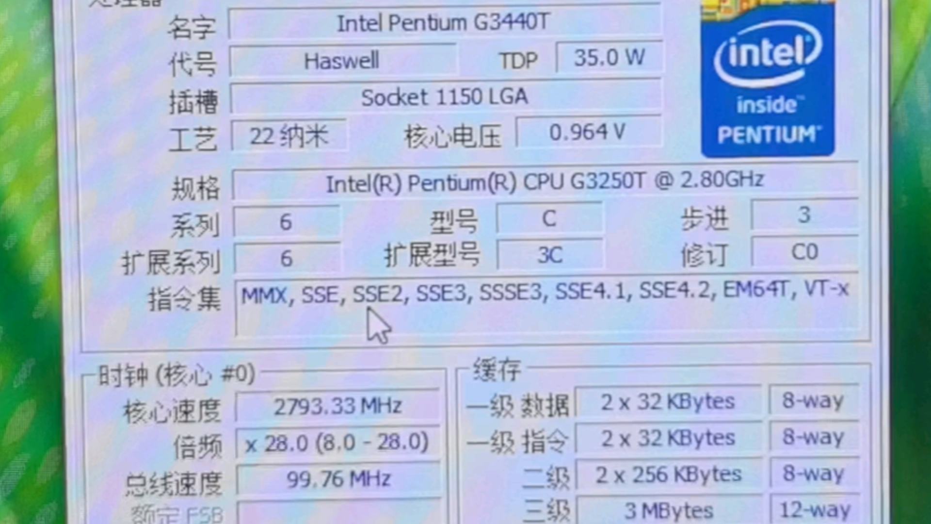 奔腾G6900参数图片