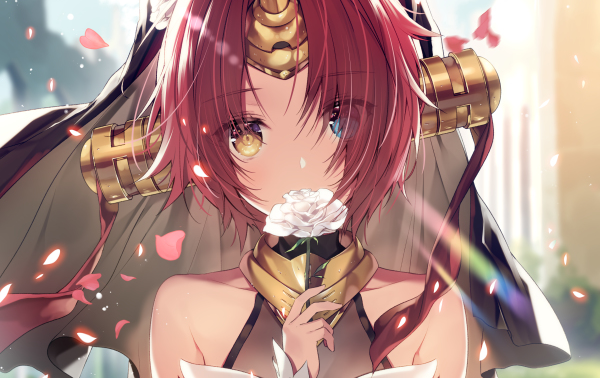 【fgo】fgo 全宝具合集 no.82 弗兰肯斯坦(berserker)