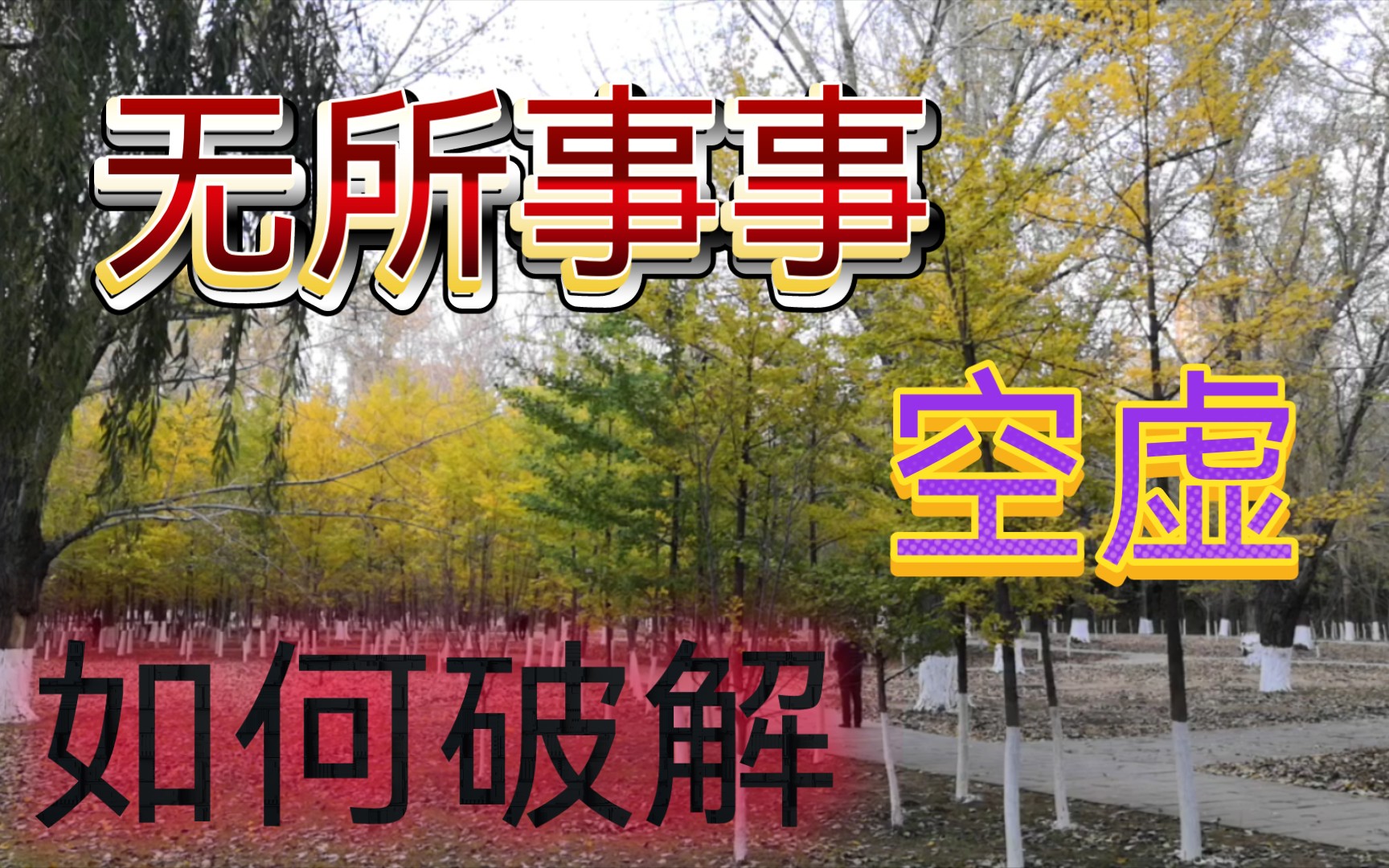 这个研二学生,过得很空虚,天天无所事事,如何破解?哔哩哔哩bilibili