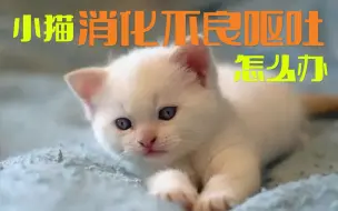 Video herunterladen: 小猫消化不良呕吐怎么办