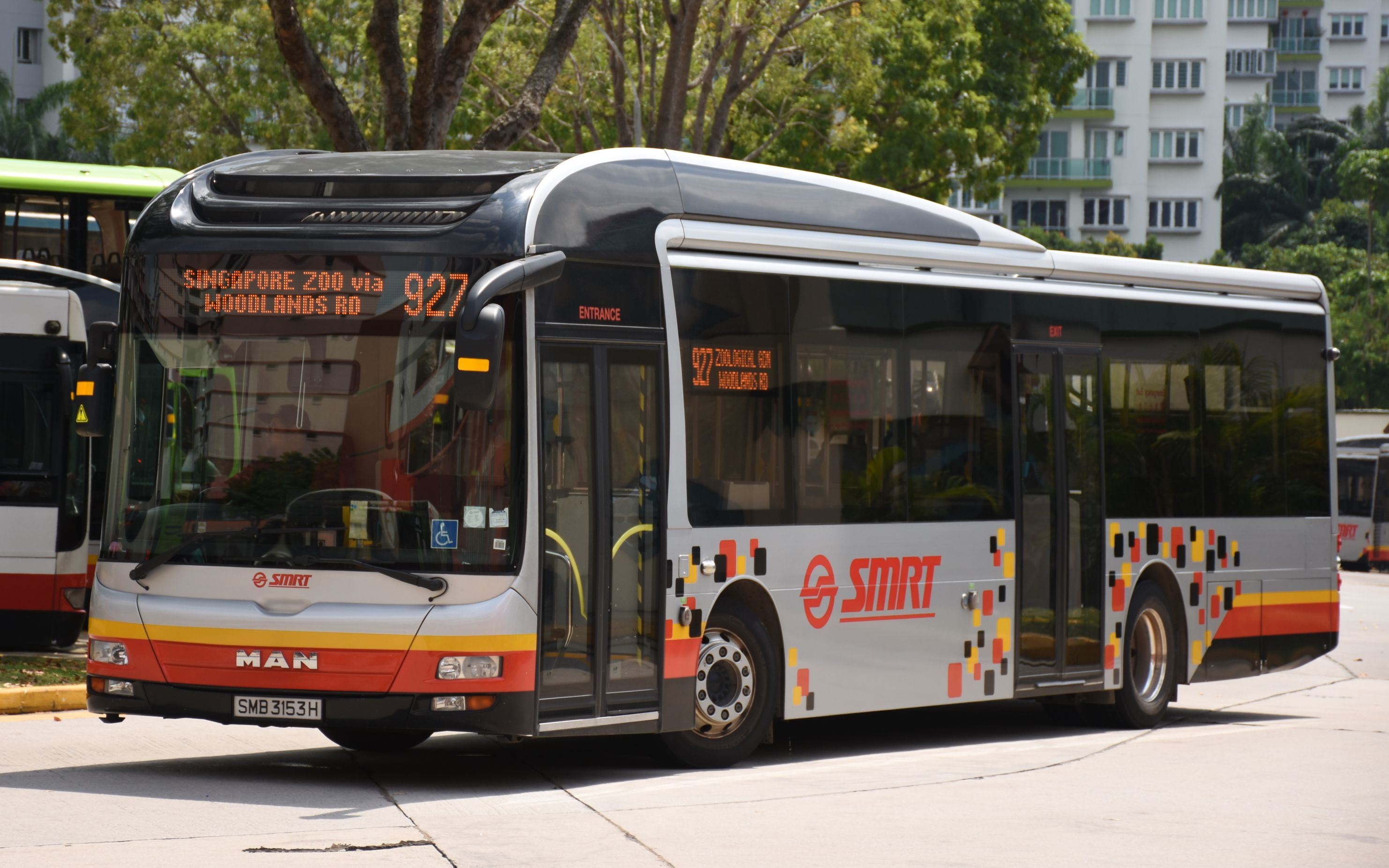 新加坡公交smrt927路蔡厝港66动物园