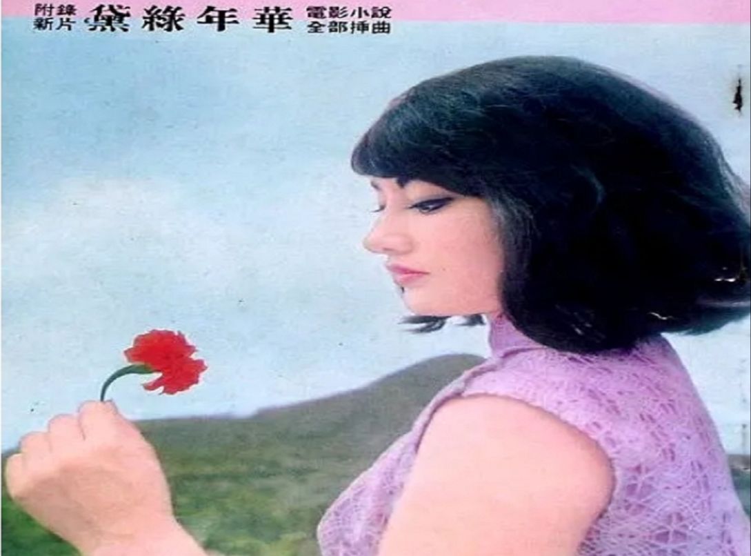 黛绿年华(1967) 陈厚 / 胡燕妮 / 祝菁 / 李婷 / 张冲哔哩哔哩bilibili